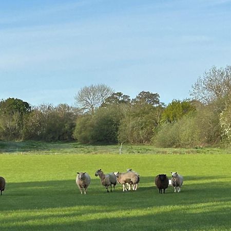 Oak Barn In The Cotswolds Near Moreton In Marsh Shipston-on-Stour Luaran gambar